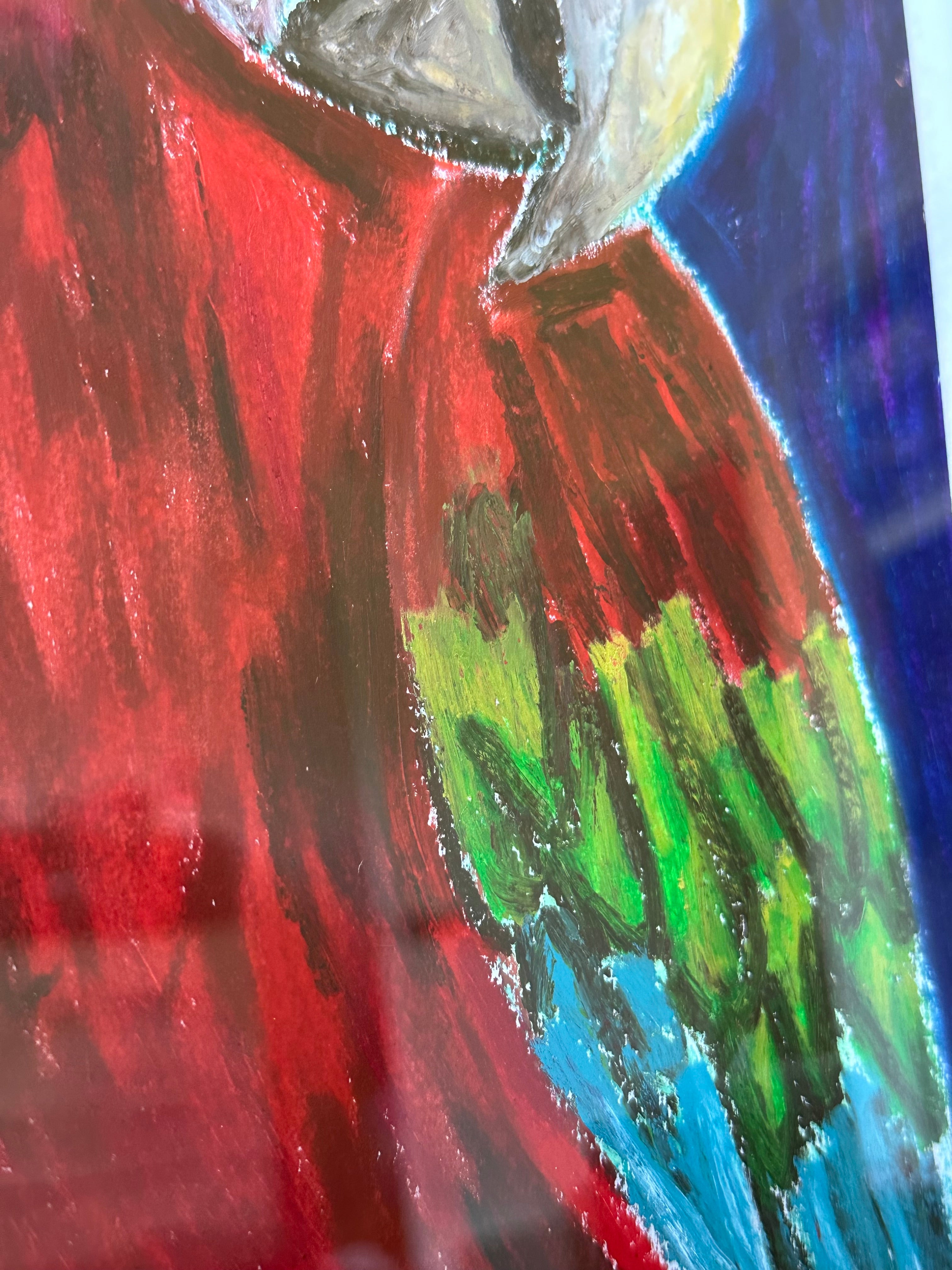 Soaring Rainbow