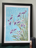 Wild Flowers