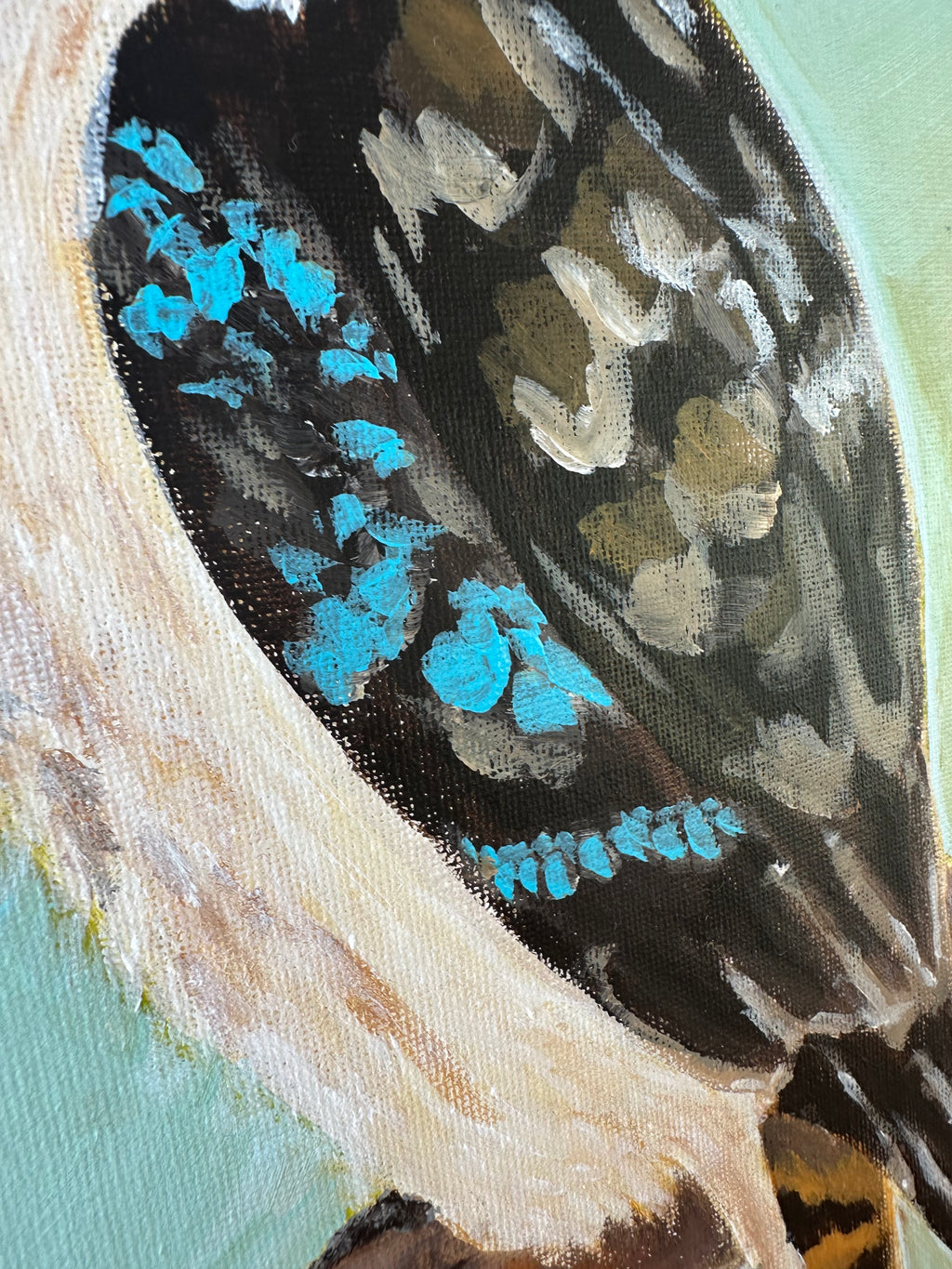 Kookaburra I