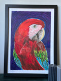 Soaring Rainbow