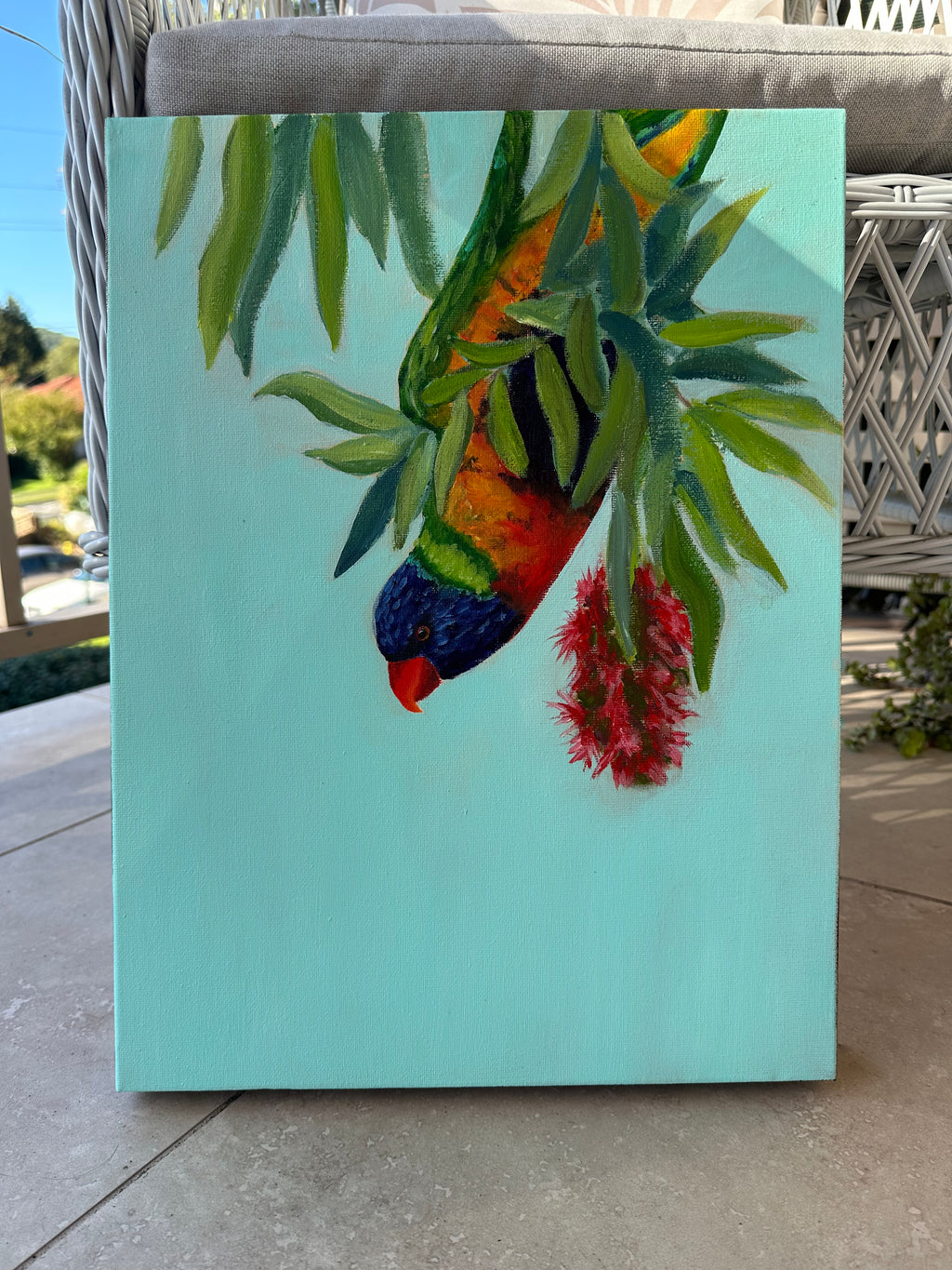 Hanging Lorikeet