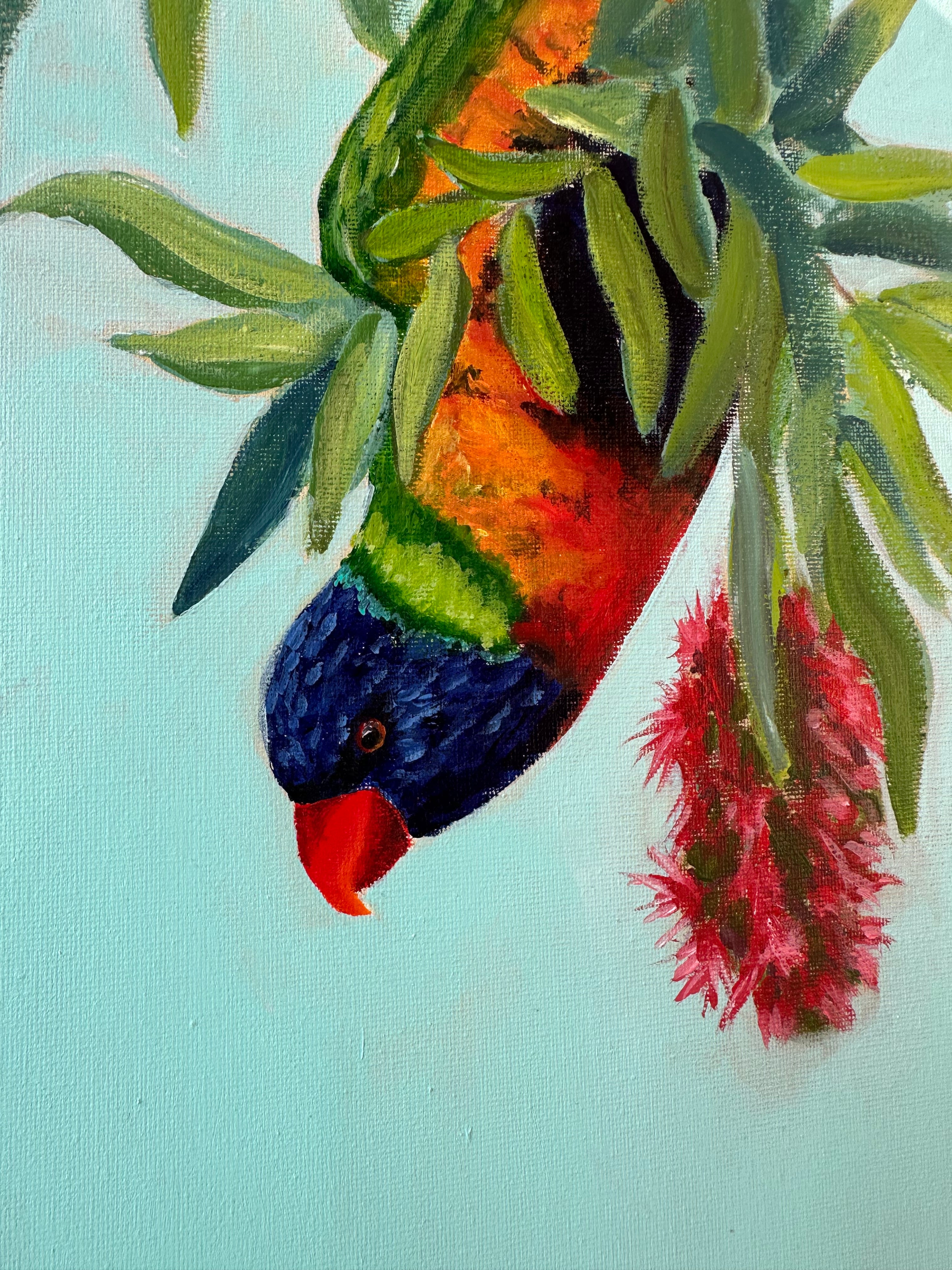 Hanging Lorikeet