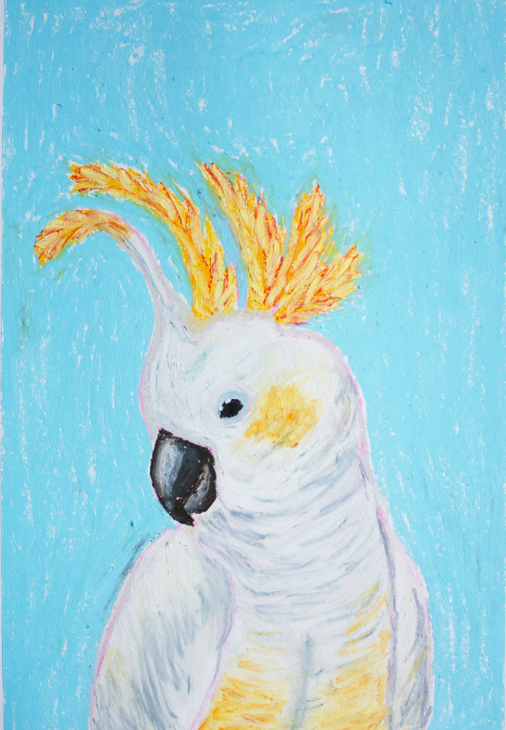 Cheeky Cockatoo Print
