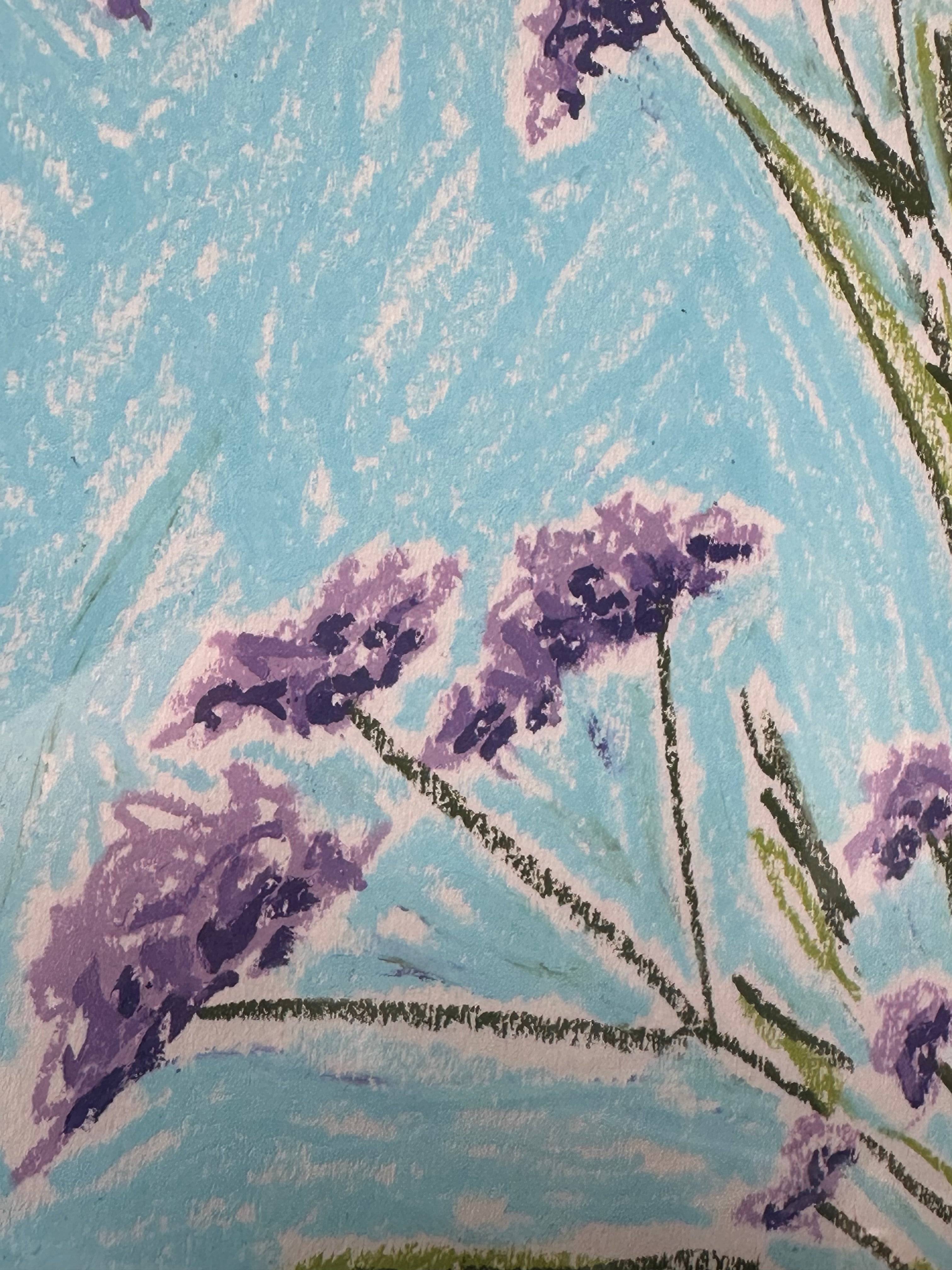 Wild Flowers