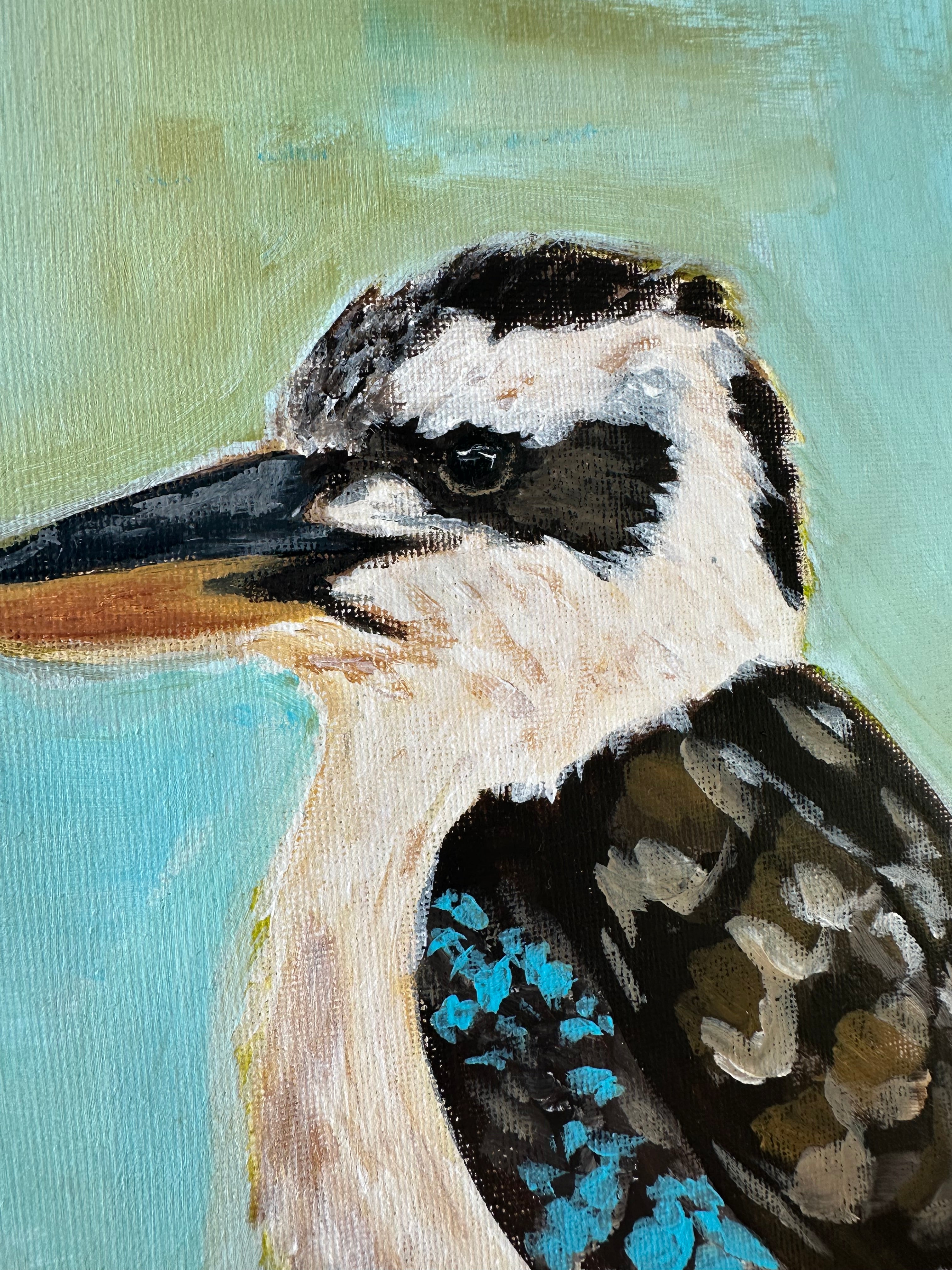 Kookaburra I