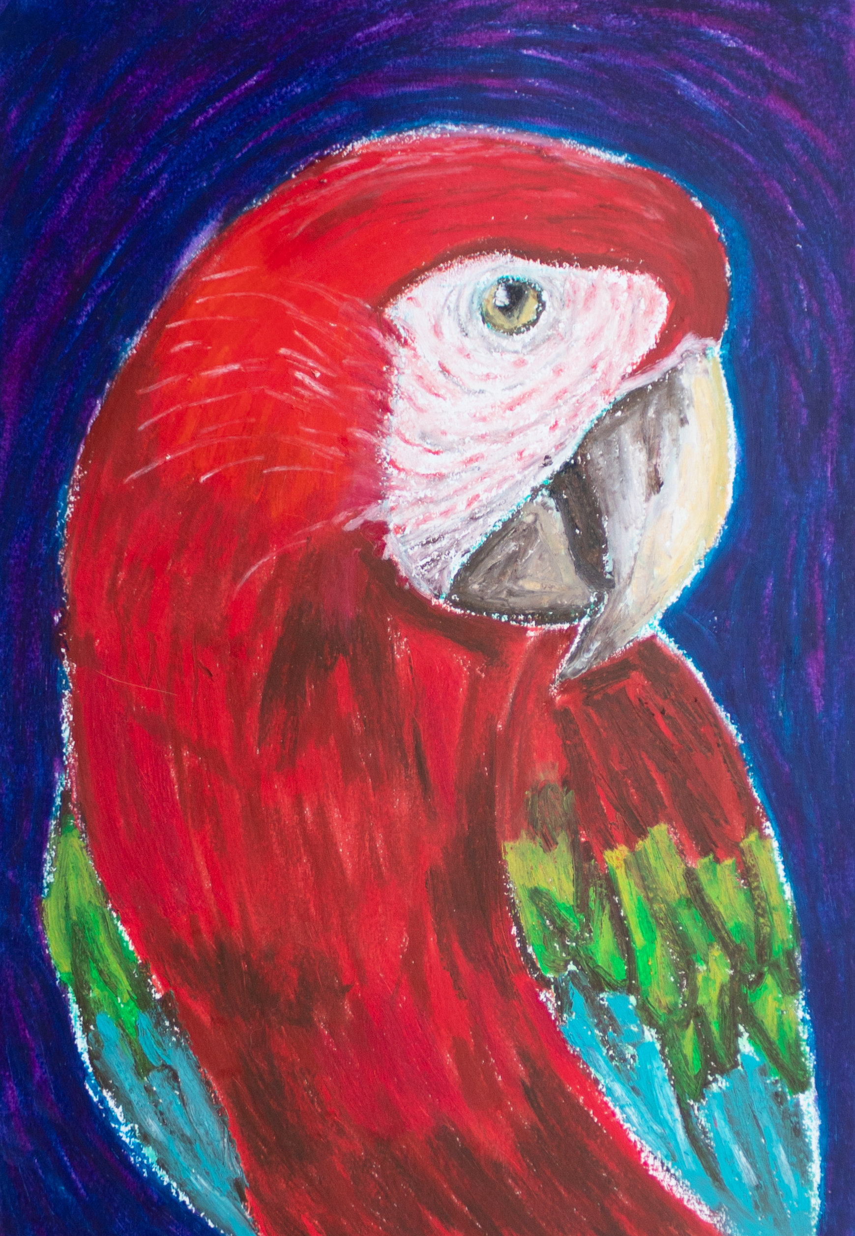 Soaring Rainbow Print